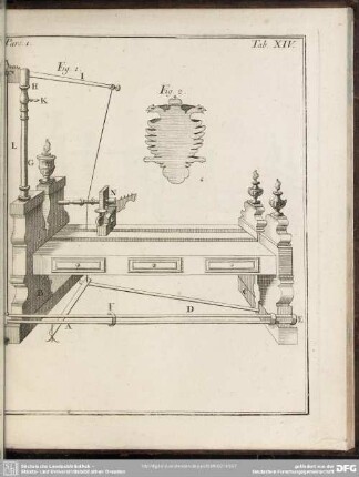 Pars. 1. Tab. XIV.