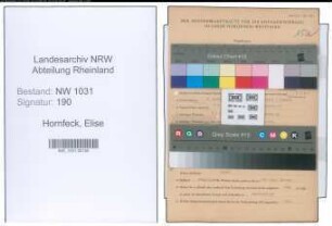 Entnazifizierung Elise Hornfeck , geb. 03.04.1900 ()