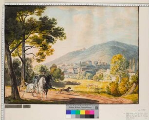 Baden-Baden mit Blick auf die beiden Schlösser