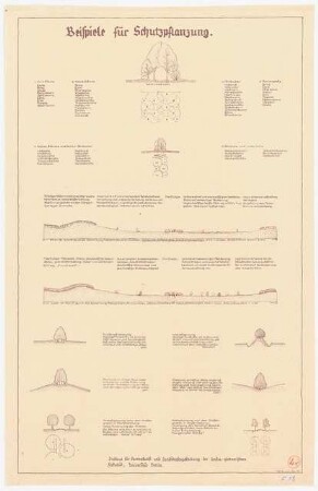 Landschaftsplan, Luckau: Beispiele für Schutzpflanzung, versch. Grundrisse