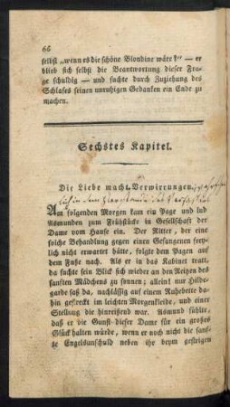 Sechstes Kapitel. Die Liebe macht Verwirrungen.