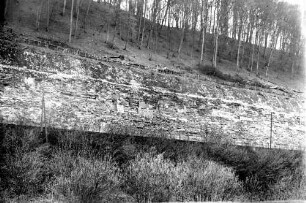 Neudenau Sanierung Stützmauer Rodung Hangwald