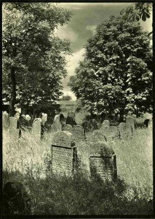 alter jüdischer Friedhof. Mittlere Gruppe