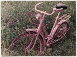 Rosanes Fahrrad auf einer Wiese (Altersgruppe 18-21)