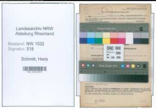 Entnazifizierung Hans Schmitt , geb. 21.01.1884 (Landesoberinspektor)