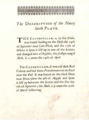 The Description of the Ninety Sixth Plate