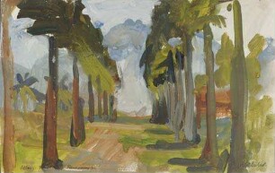 Allee in Victoria (Kamerun)