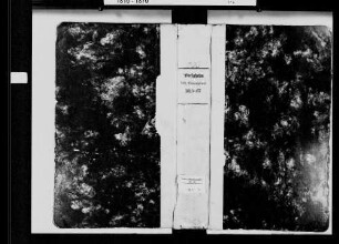 Obrigheim, katholische Gemeinde: Geburtenbuch 1810-1867
