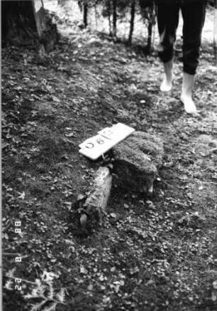 Grabstein 60 (Index: 100080175) Material: Granit Zustand: Fragmente Beschreibung: zwei Fragmente Besonderheit: möglicherweise Reste der Einfassung von Grabstein Nr. 56: Grabstein 60