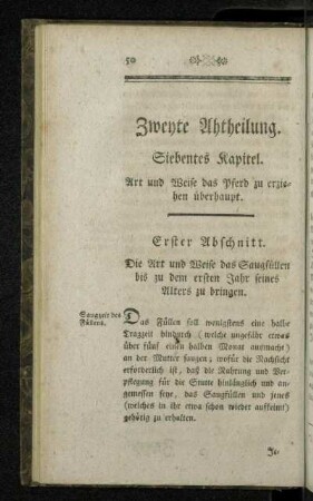 Siebentes Kapitel.