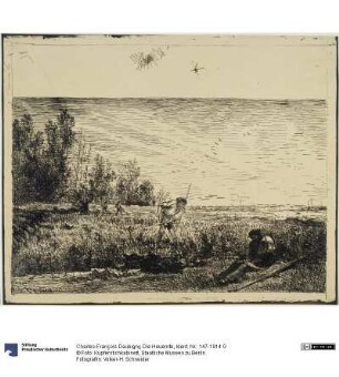 Die Heuernte