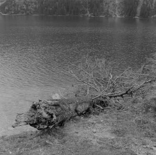 Hohe Tatra (Polen) (?). Bergsee?