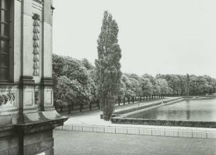 Großer Garten : Blick vom Palais auf den Teich mit Pappeln und Allee mit blühenden Kastanien