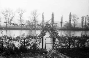 Kadelburg: Garten mit Herbstlaub am Rhein