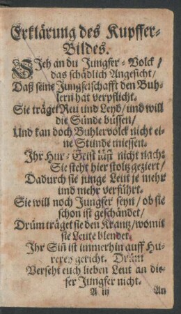 Erklärung des Kupffer-Bildes.