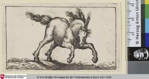 [Heranstürmendes Pferd nach rechts, von vorn gesehen; Charging Horse Viewed Frontally]