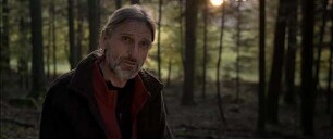 Der wilde Wald - Natur Natur sein lassen