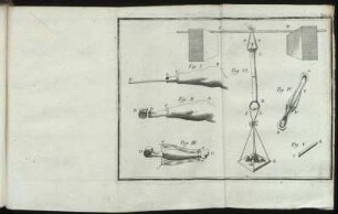 (Kupferst.) Tab. II : Fig. I – Fig. VI