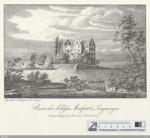 Ruine des Schlosses Montfort bei Langenargen
