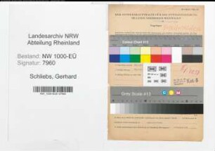 Entnazifizierung Gerhard Schliebs, geb. 23.02.1906 (Korrespodent)