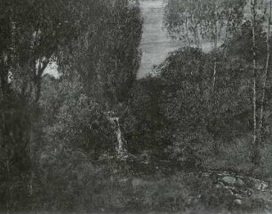 Waldlandschaft