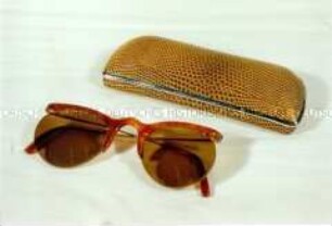 Brille im Etui