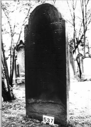 Grabstein 537 (Index: 99630038) Material: Sandstein Zustand: unten abgeblättert Maße HxBxT: 163x64x9 cm Beschreibung: Stele mit eingezogenem Rundbogenabschluß: Grabstein 537