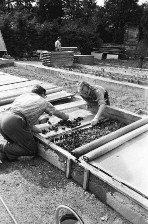 Arbeit in der städtischen Friedhofsgärtnerei.