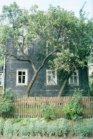 Hausgiebel, davor 2 schiefe Bäume