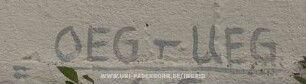 = OEG - UEG