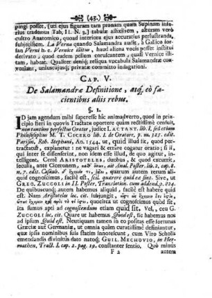 Caput V. De Salamandrae Definitione, atgue eò facientibus aliis rebus