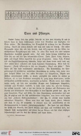 II. Tiere und Pflanzen