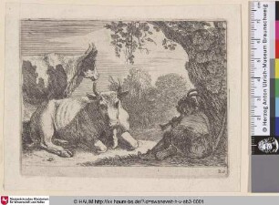 [Hirte mit zwei Rindern; Cows]