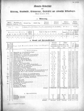 1875,71: Monats-Uebersicht über Witterung, Grundwasser, Erdtemperatur, Sterblichkeit und epidemische Erkrankungen. Monat October 1875