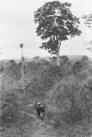 Träger beim Abstieg ins Namgarutal : Savannenlandschaft mit Expeditionsträgern