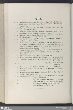 Tab. II