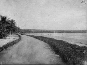 Strand bei Lindi (Deutsch-Ostafrikaexpedition 1906-1907)
