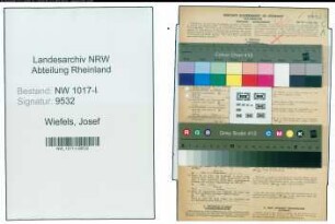 Entnazifizierung Josef Wiefels , geb. 19.05.1893 (Landgerichtsrat)