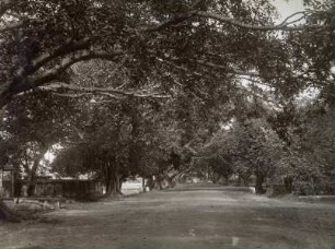 Mowbray Road, Madras