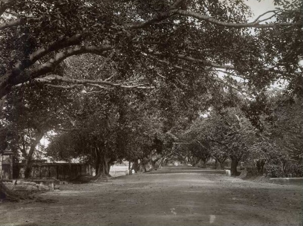 Mowbray Road, Madras