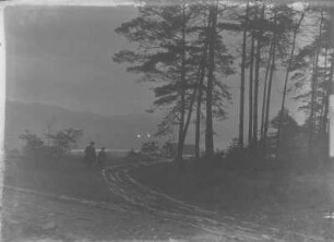 Waldweg zu einem Gehöft. Ansicht mit zwei Spaziergängern