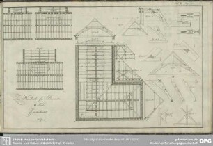Tab. XX. Fig. 351-357