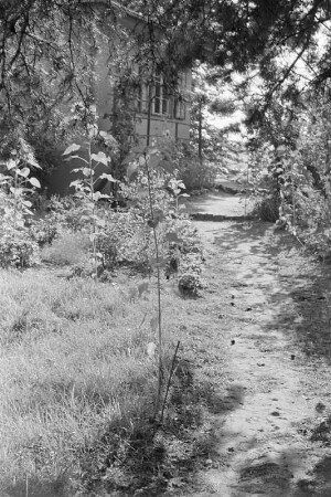 Blühender Garten am Teupitzer Wochenendhaus.