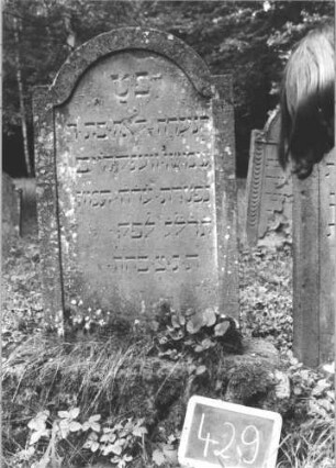 Grabstein 429 (Index: 99895179) Material: Sandstein Zustand: leicht bewachsen Maße HxBxT: 118x59x8 cm Beschreibung: Stele mit eingezogenem Rundbogenabschluss: Grabstein 429