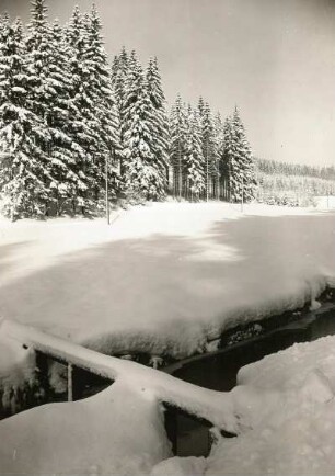 Seyda-Mortelgrund. Winterlandschaft. Ansicht über den Bach