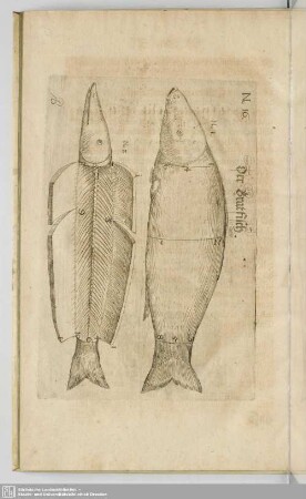 Der Bratfisch.