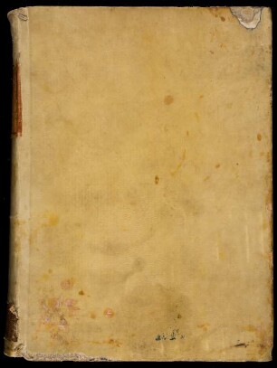 Rudimenta grammatices