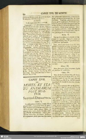 Caput XVII. De Morte Et Statu Animarum Post Mortem