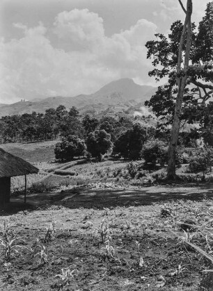 Kulturlandschaft : Kulturlandschaft am östlichen Rand der Uluguru-Gebirgskette nahe Matombo