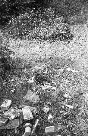 Vandalismus durch wildes Campen am Ententeich bei Daxlanden